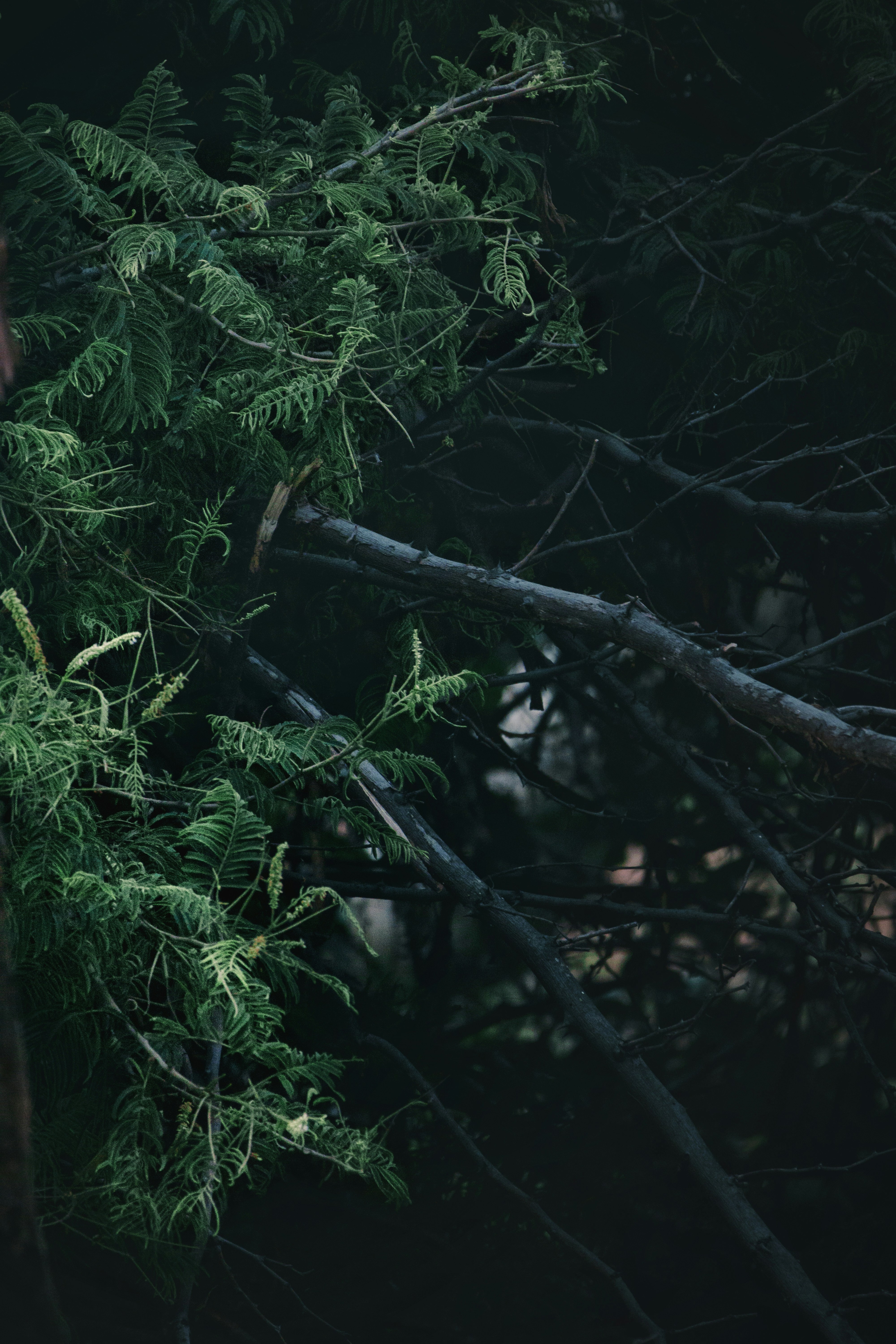 Photo by sameer_srivastava