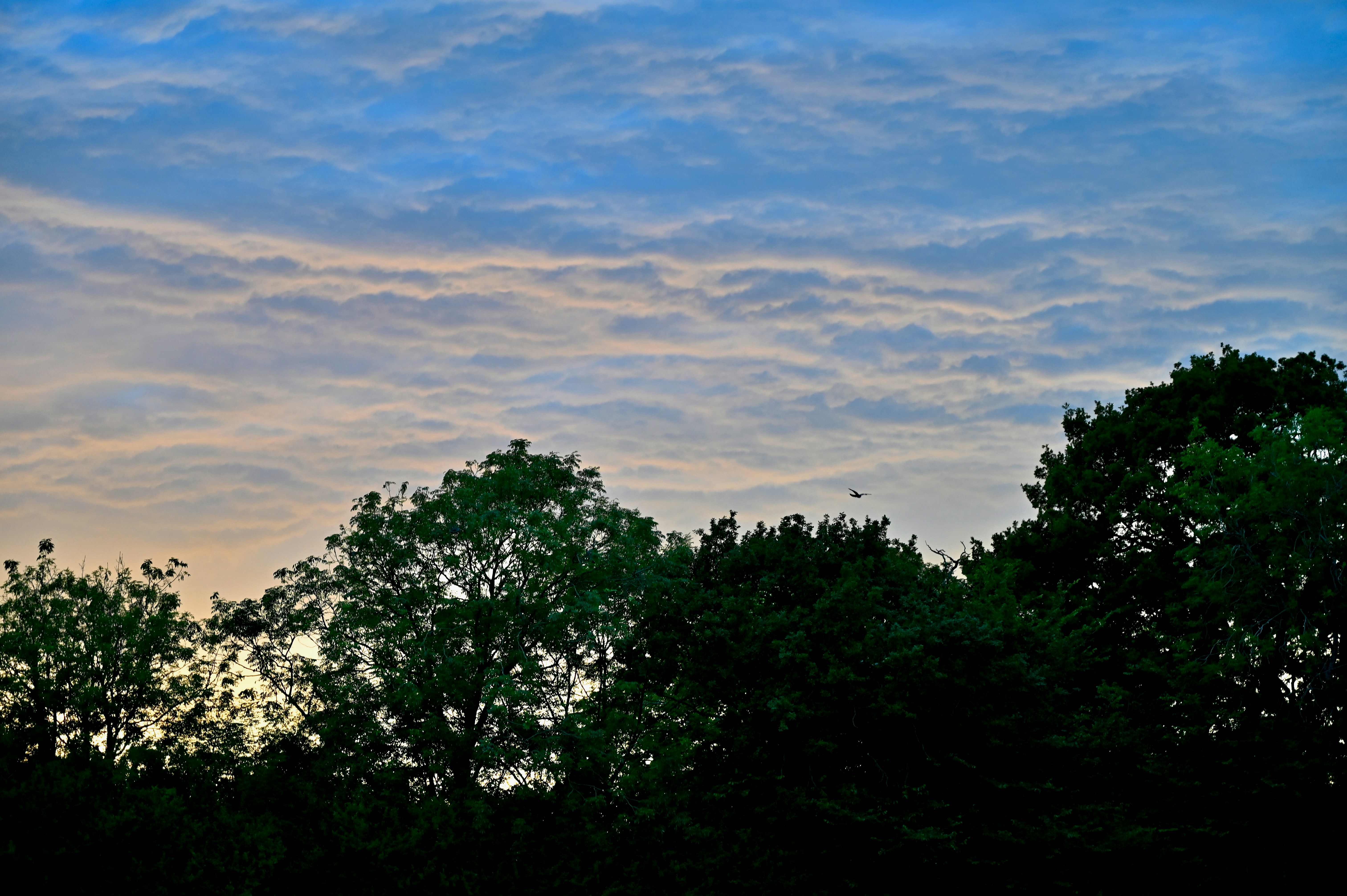 Photo by mlb31415