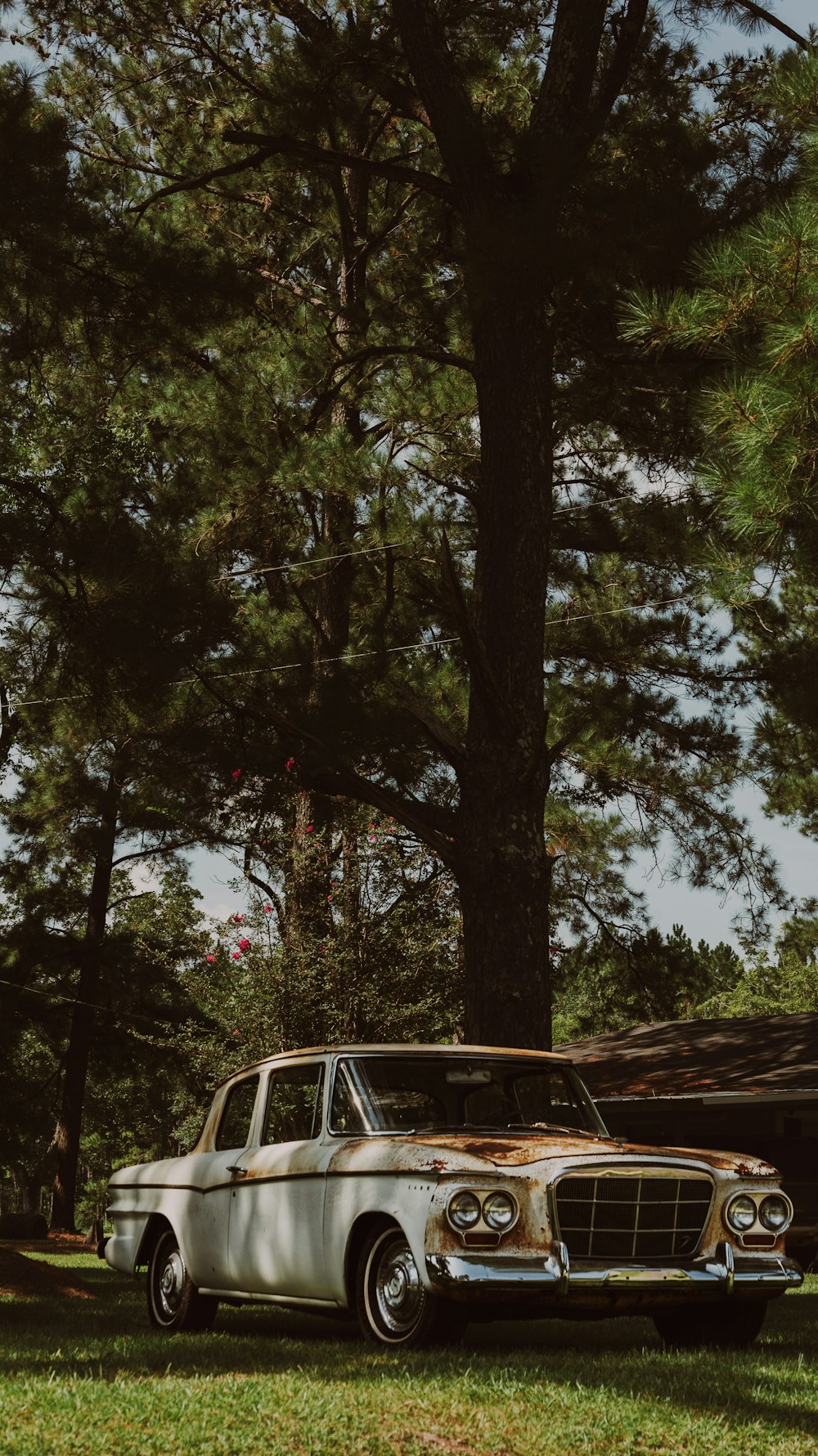 an old car parked in the grass near a tree