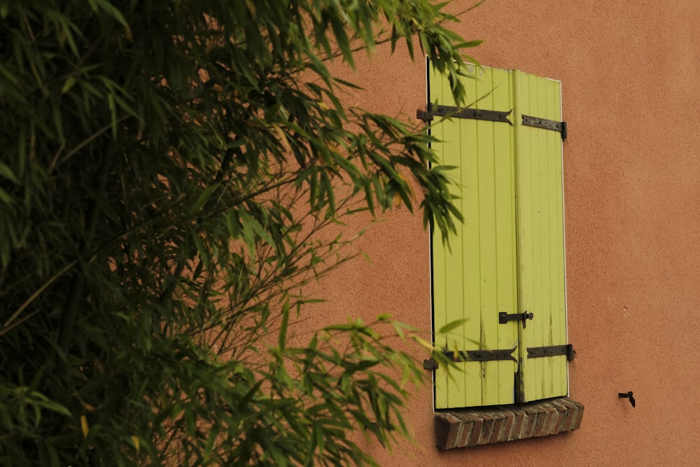 a green shuttered window on the side of a building