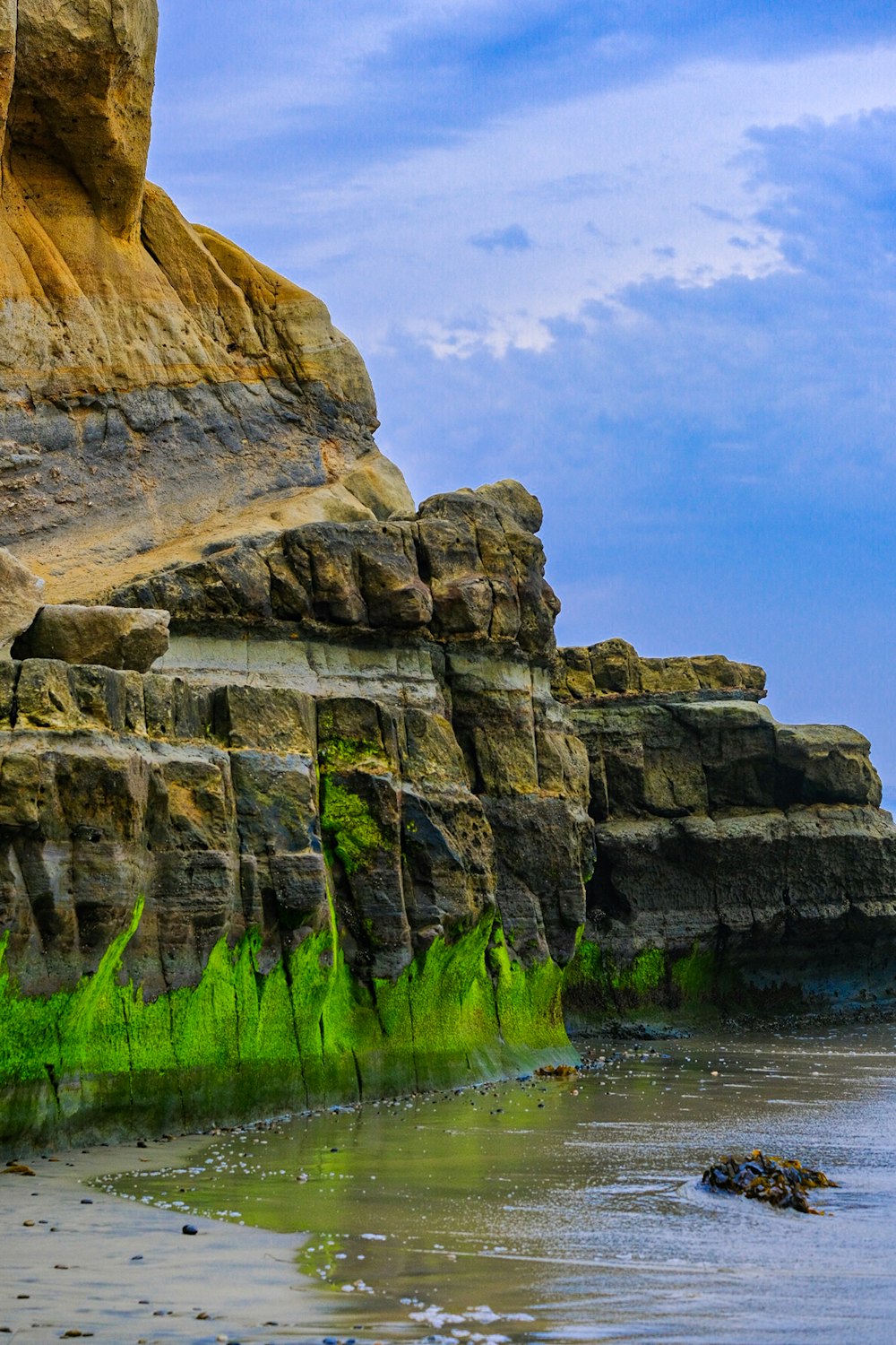 a beach with a rock formation and green algae growing on it