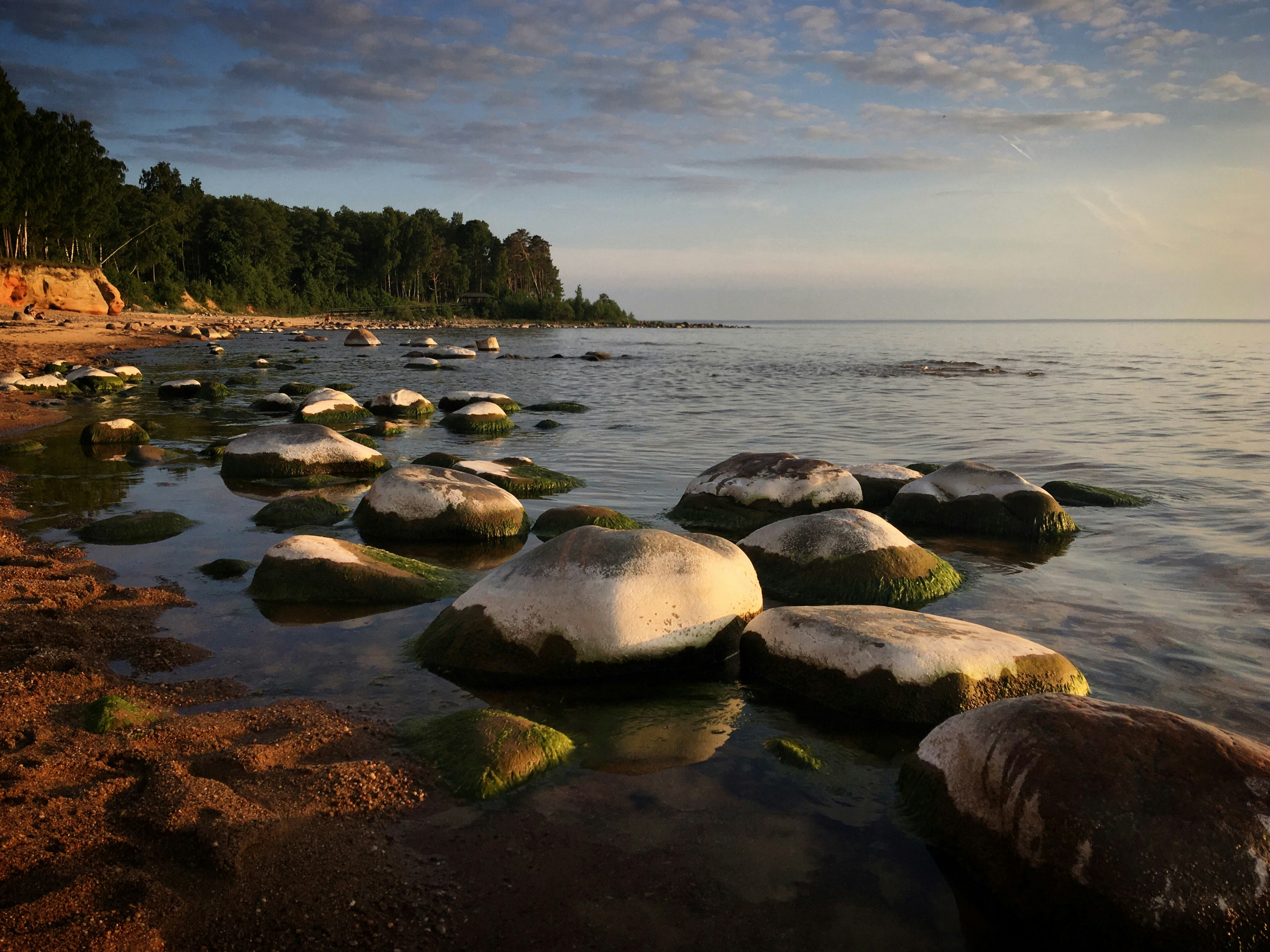 Photo by sergei_gussev