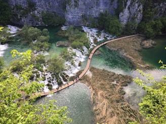 A scenic view of a hiking trail winding through lush greenery near Hong Kong's harbor.
