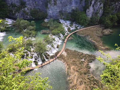 A scenic hiking trail winding through dense jungle with glimpses of distant ocean views.