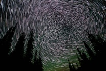 A long-exposure photograph captures the night sky, displaying circular star trails converging at a central point. Silhouettes of tall evergreen trees frame the bottom edges of the image, contrasting with the dark, star-filled sky.