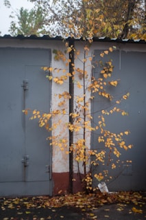 A sturdy wooden garage door with decorative ironwork, framed by autumn leaves.