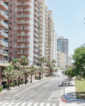 A charming Cairo neighborhood street lined with sunlit apartment buildings and palm trees.