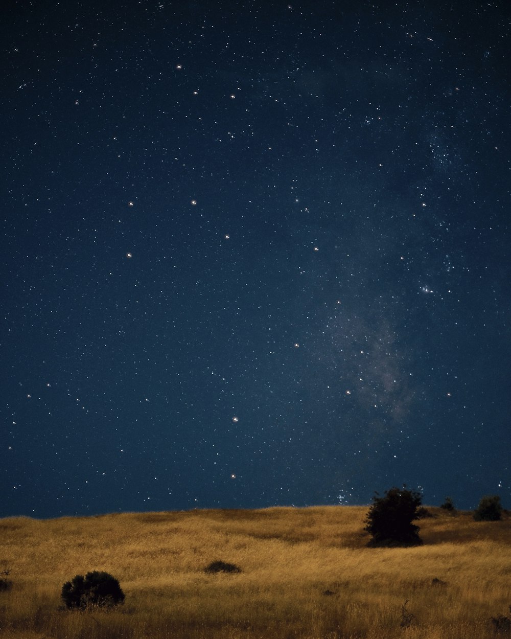 the night sky is full of stars above a grassy field