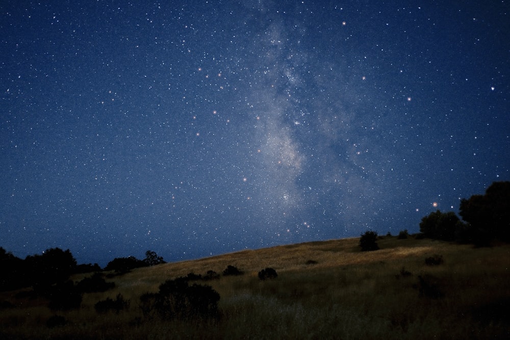 the night sky is filled with stars above a grassy hill