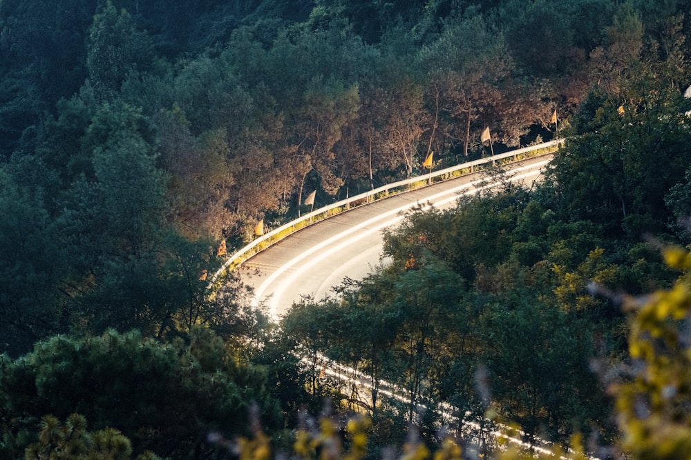 a winding road in the middle of a forest