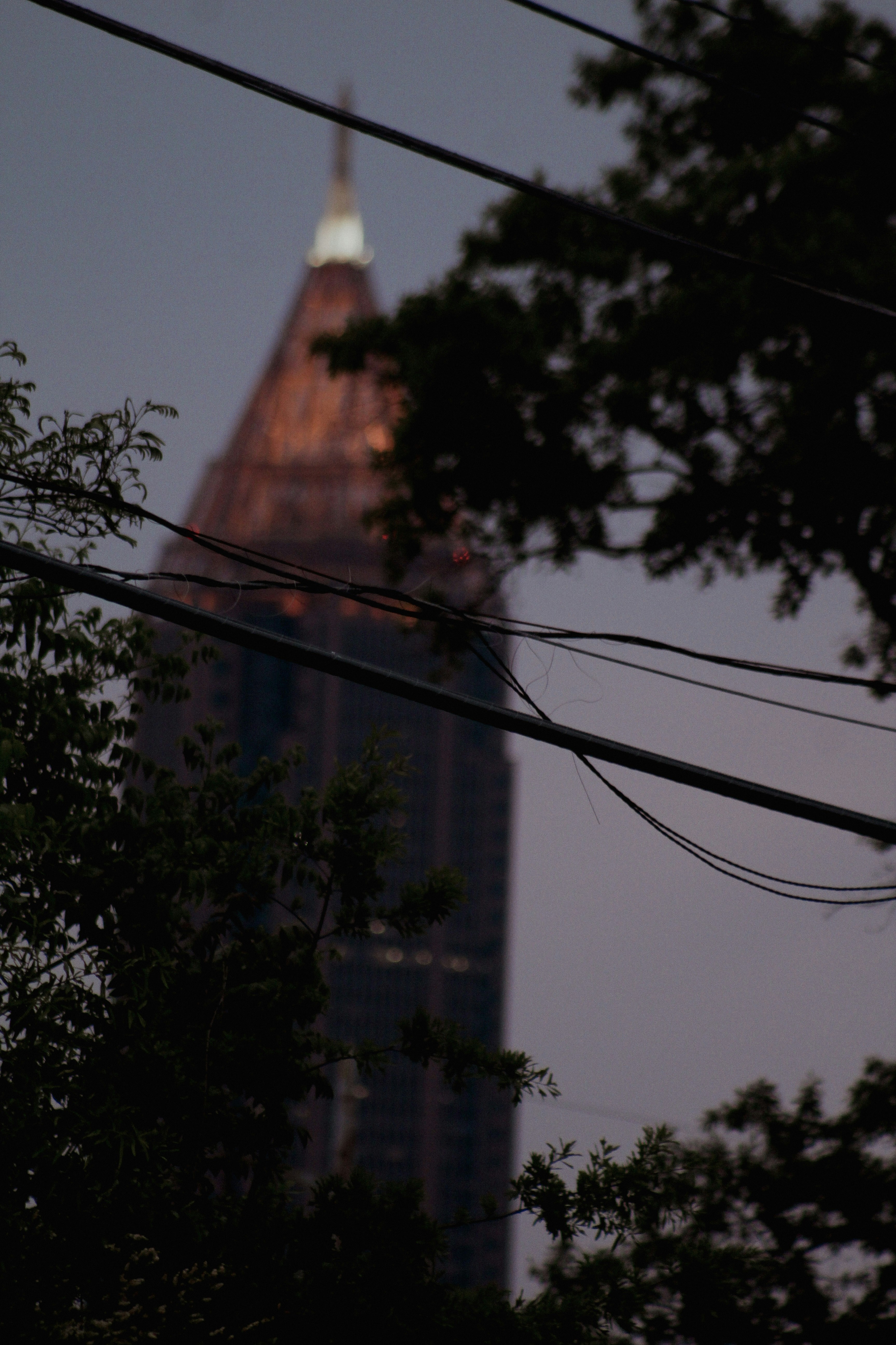 a view of a tall building through the trees