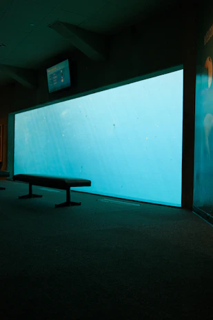 A sleek hyperbaric oxygen chamber installed inside a professional football club's training facility, bathed in natural light.