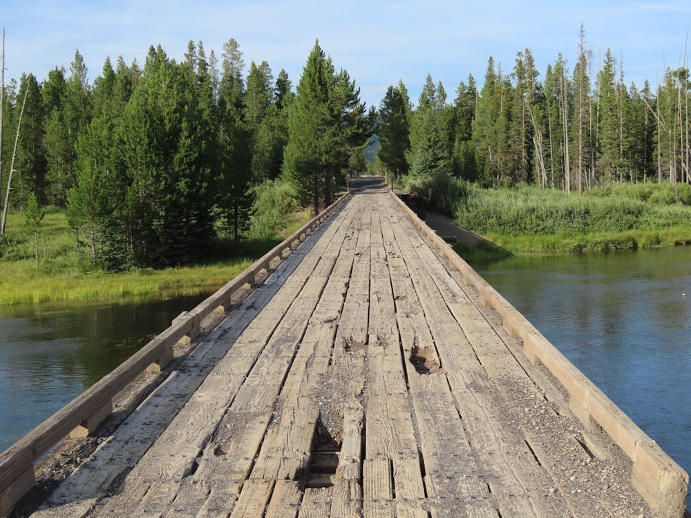 a wooden bridge over a river surrounded by trees