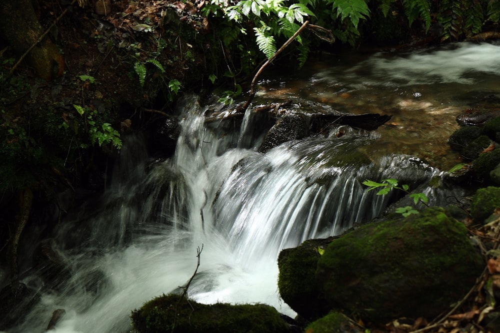 a small waterfall in the middle of a forest