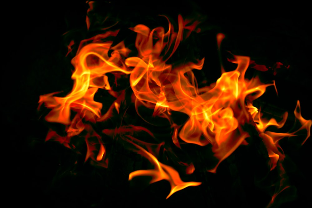 a close up of a bunch of fire on a black background