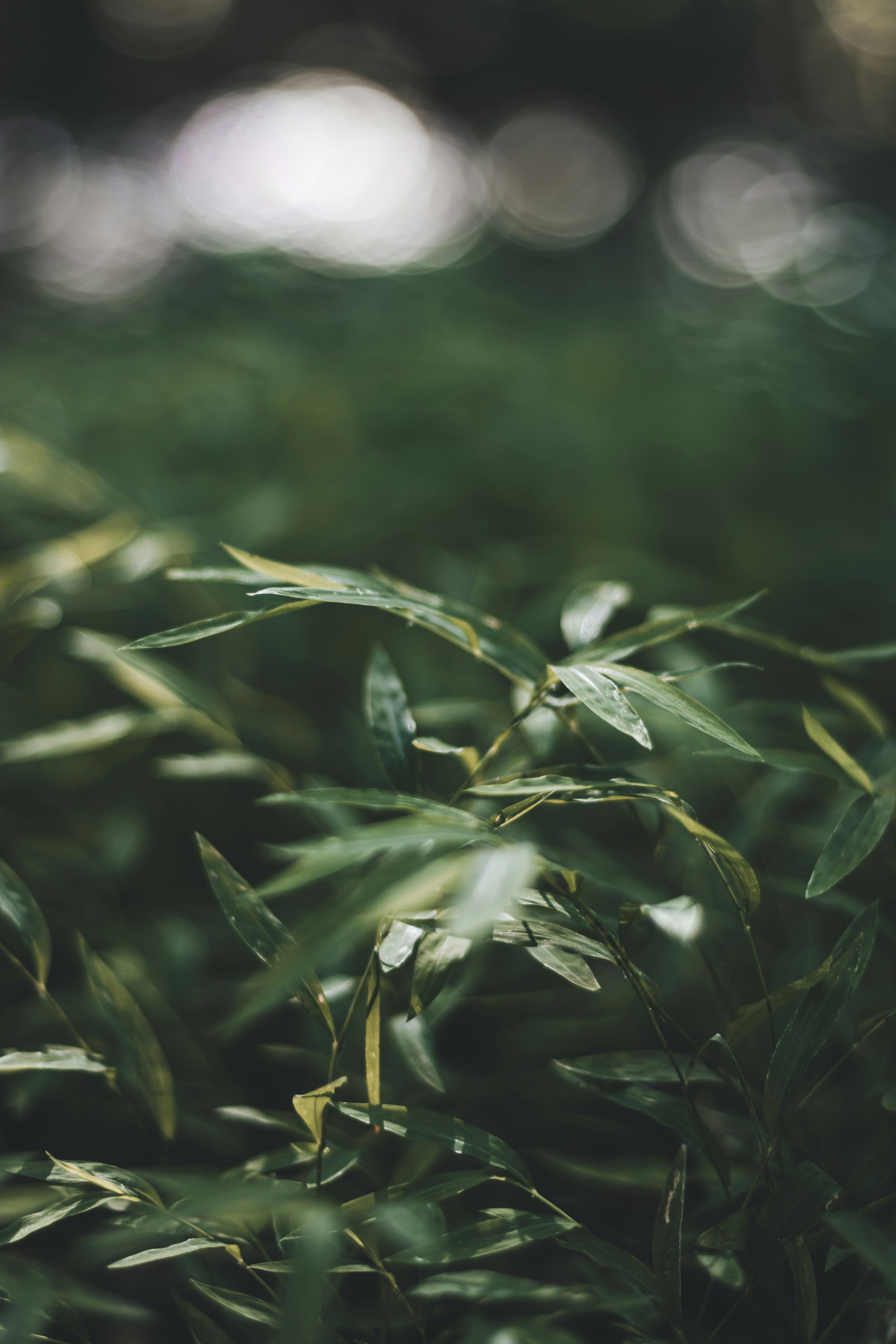 Photo by brice_cooper18