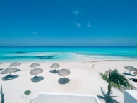 A pristine beach scene showcasing white sandy shores with several straw parasols casting shadows. Crystal-clear turquoise waters stretch out to the horizon under a bright blue sky. A few white lounge chairs are scattered near the parasols, and a red flag waves in the gentle breeze. A lone palm tree is visible on the right side, adding to the tropical ambiance.