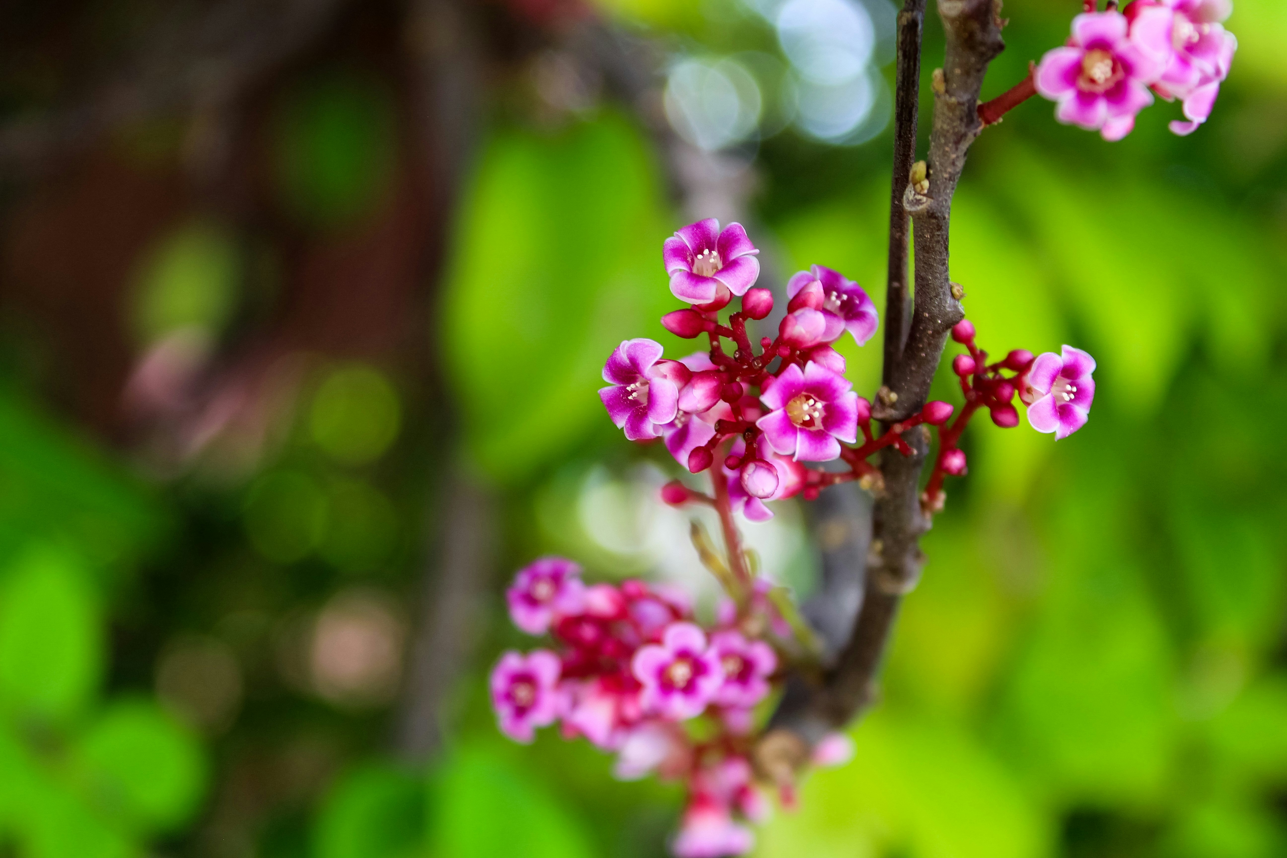 Photo by serenatyrrell