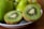 Close-up of ripe kiwis and stone fruits arranged beautifully.