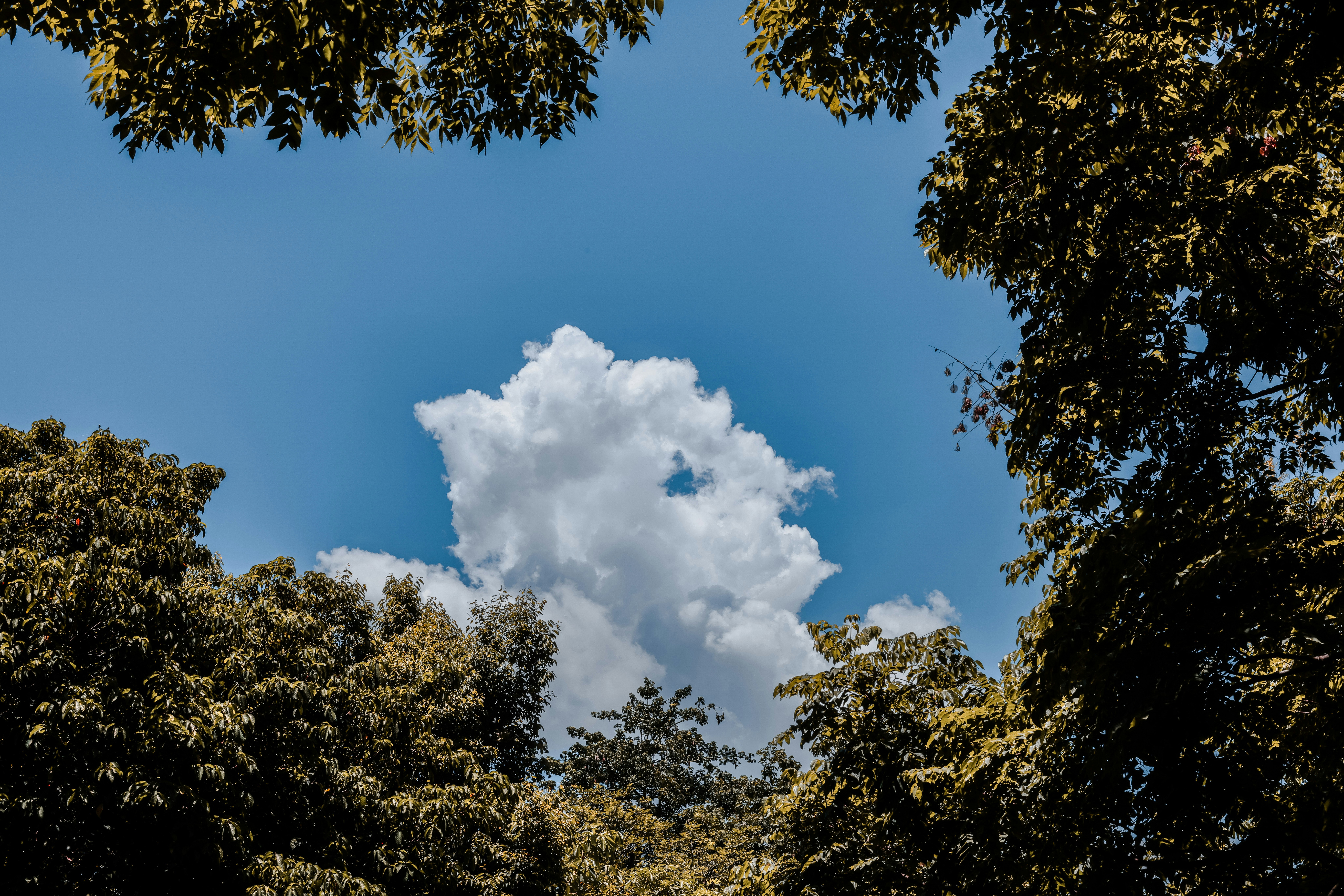 Photo by dickenslin76