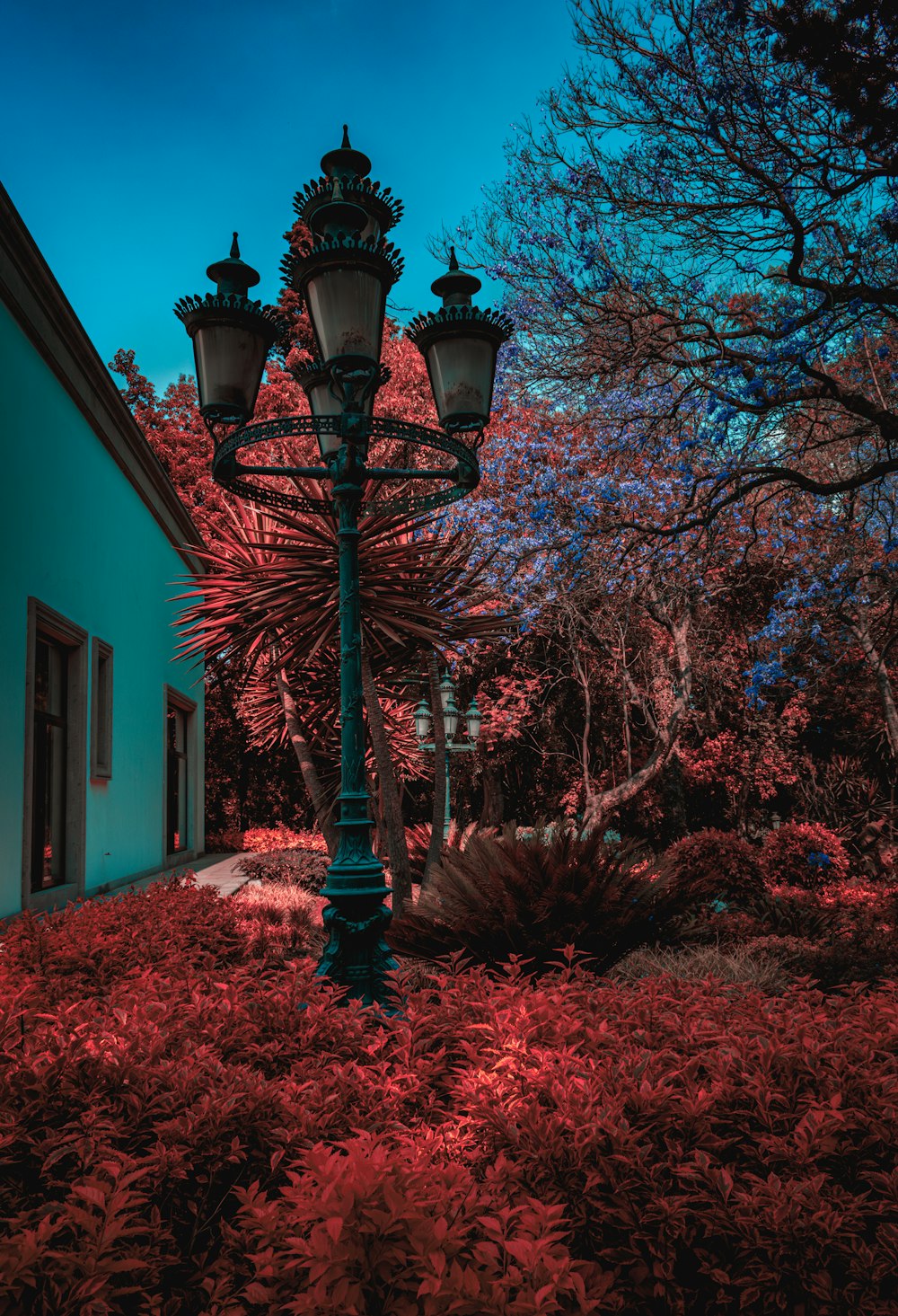 a street light sitting in the middle of a lush green field