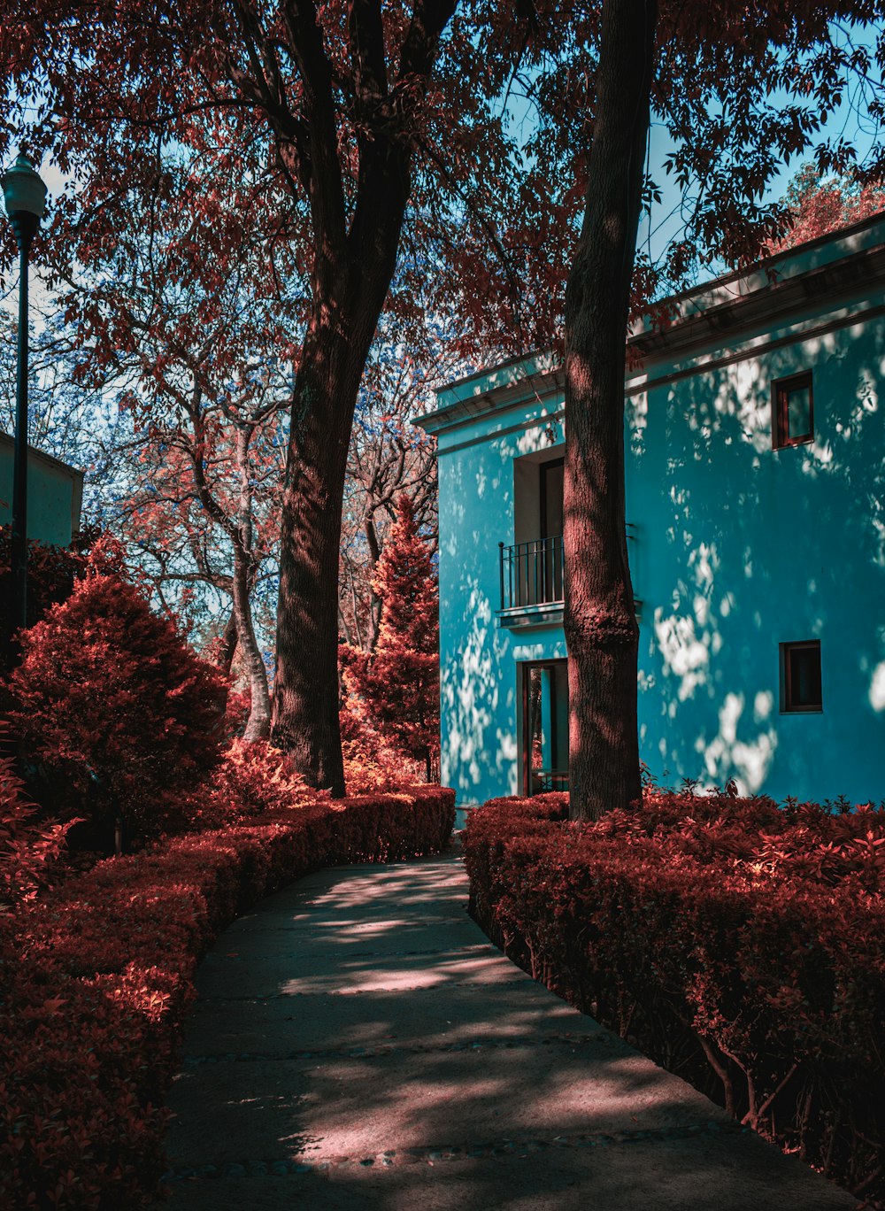 a blue building surrounded by trees and bushes
