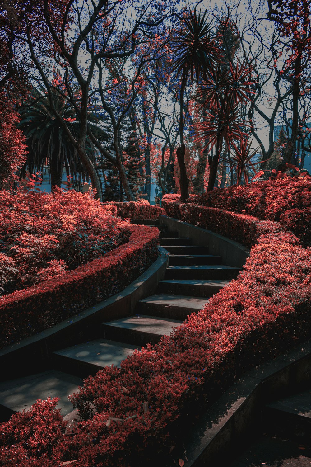 a set of steps leading up to a lush green park