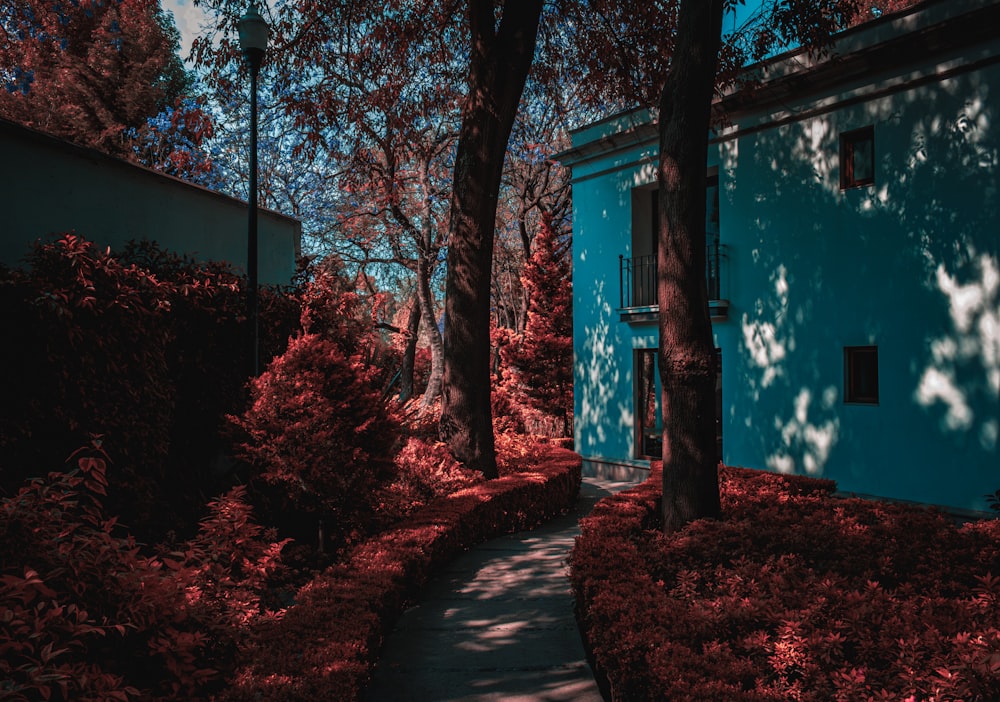 a blue building surrounded by trees and bushes