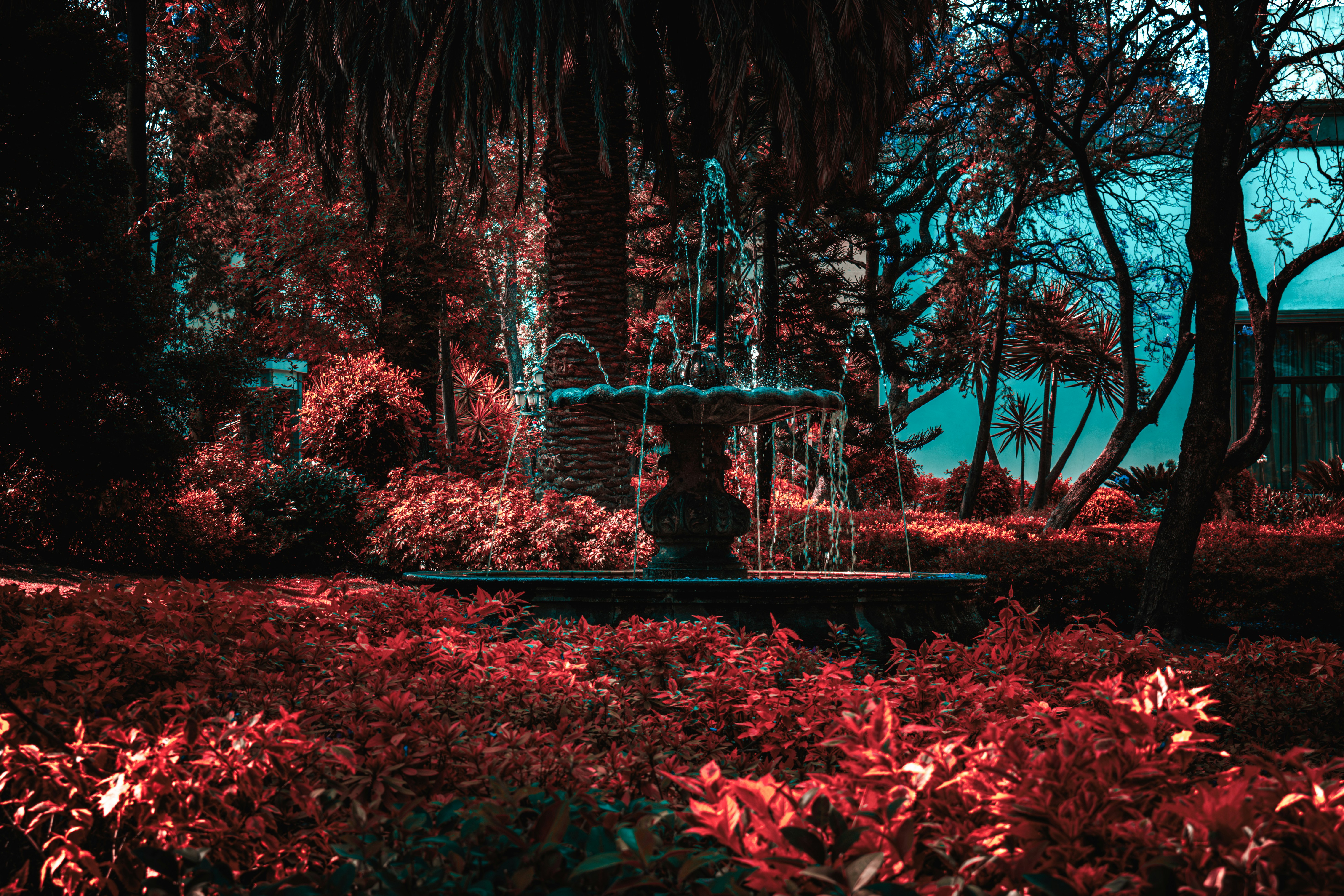 Photo by mrkuns
