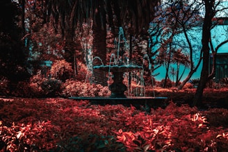 A serene water fountain surrounded by lush plants.