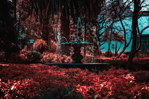 A serene water fountain surrounded by lush plants.