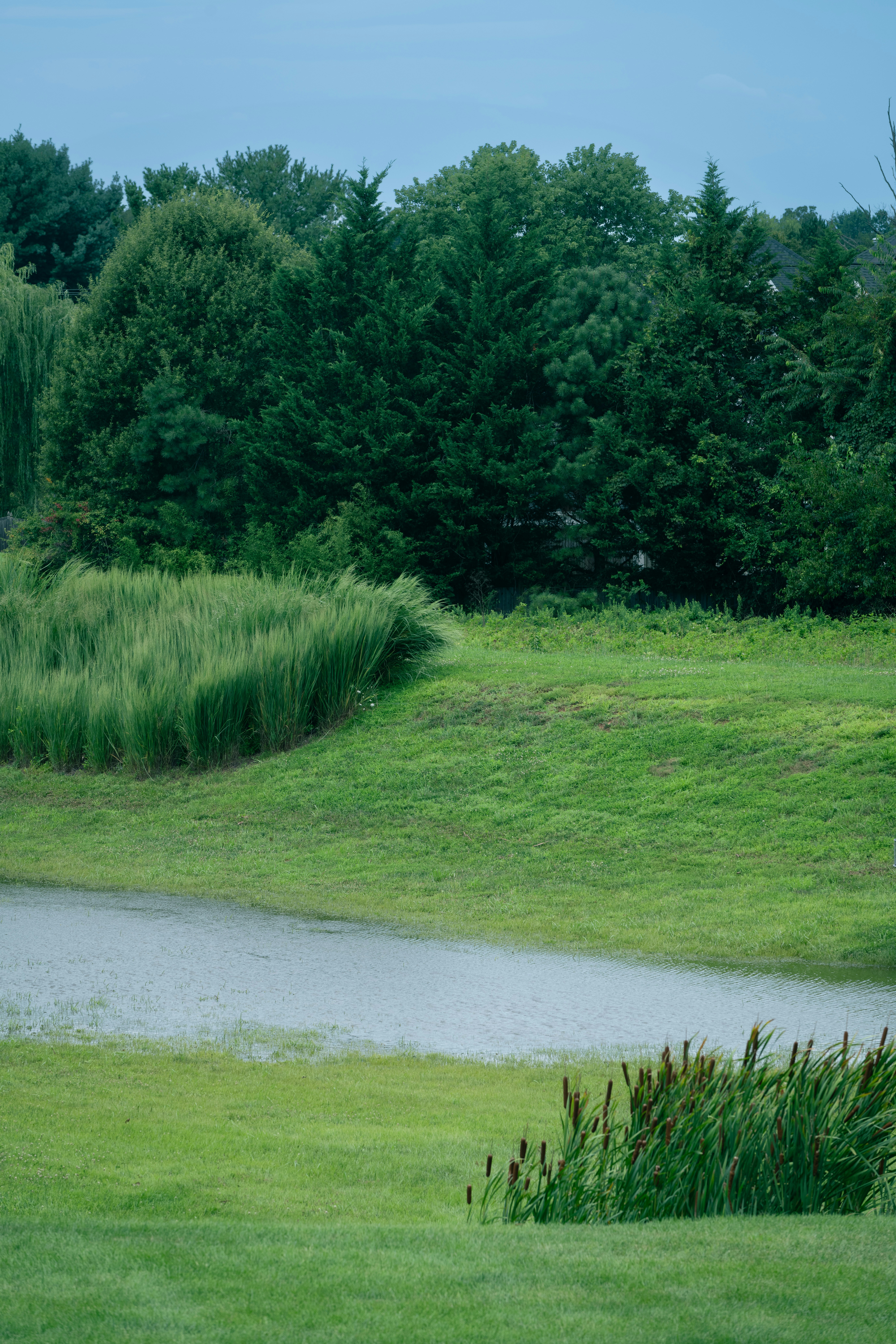 Photo by sriniunsplash