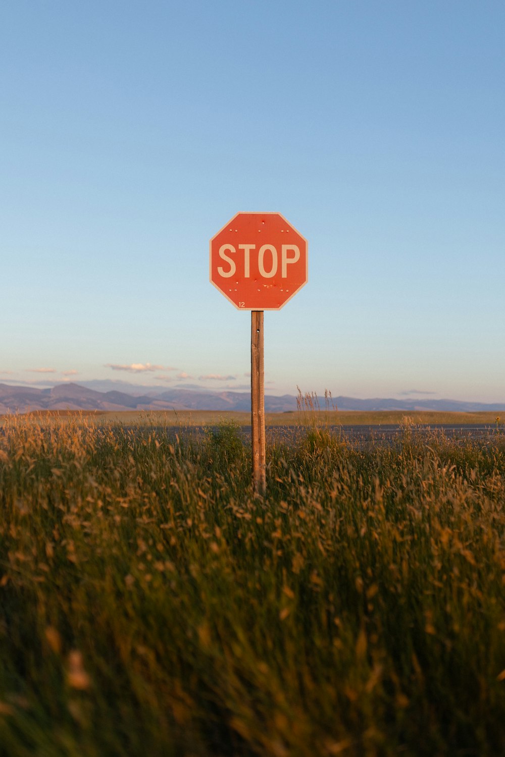 a red stop sign sitting on top of a lush green field