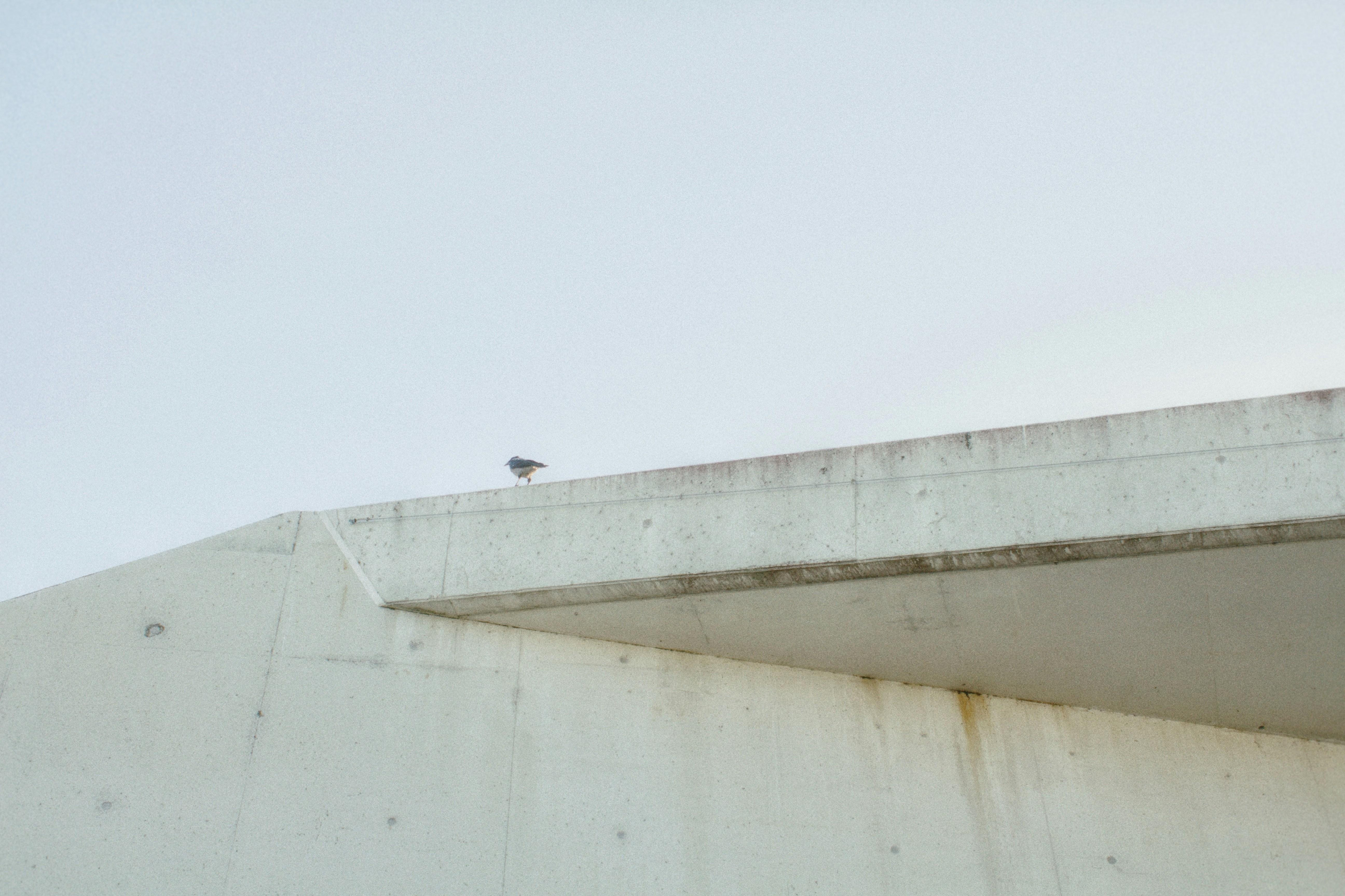 Photo by maximyuryshev