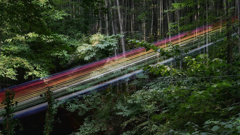 a rainbow colored stream in the middle of a forest