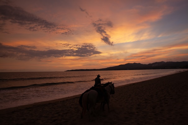 Sunset horseback ride along the golden sands of Playa Pitahaya.