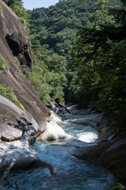 A flowing river meanders through a lush, green forest. Smooth rock formations line the riverbanks, creating a serene and natural landscape. Tall trees and dense foliage surround the area, indicating a secluded wilderness setting.