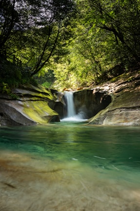 A serene waterfall cascades into a clear pool, surrounded by lush, verdant trees that create a canopy overhead. Sunlight filters through the leaves, casting dappled patterns on the rocks and water. The scene is tranquil and secluded, embodying a perfect natural retreat.