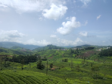 A vast, lush green tea plantation stretches across rolling hills under a bright blue sky with scattered clouds. Trees dot the landscape, and distant mountains create a serene backdrop. Small buildings are visible in the far distance.