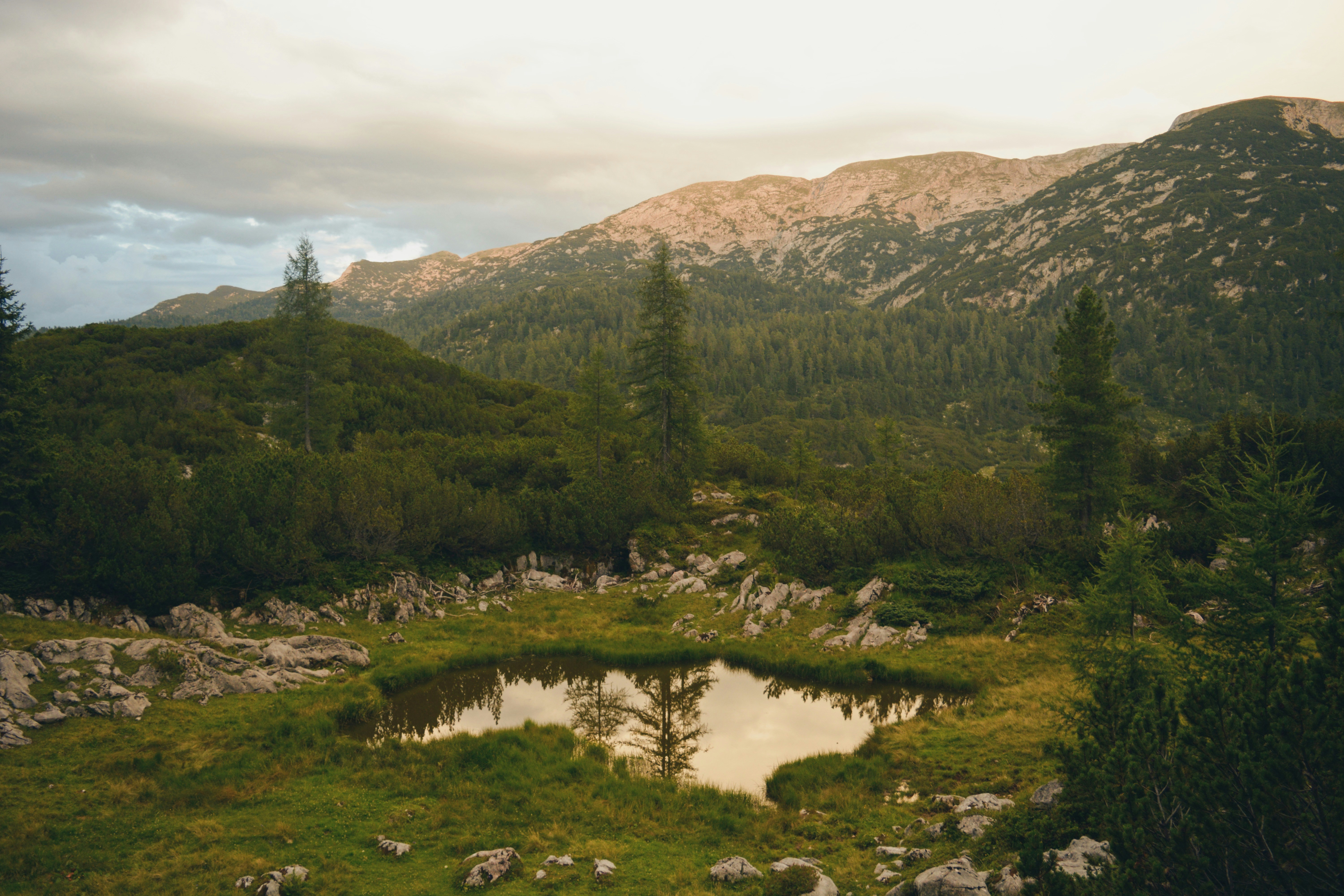 Photo by karthikeya_gs07