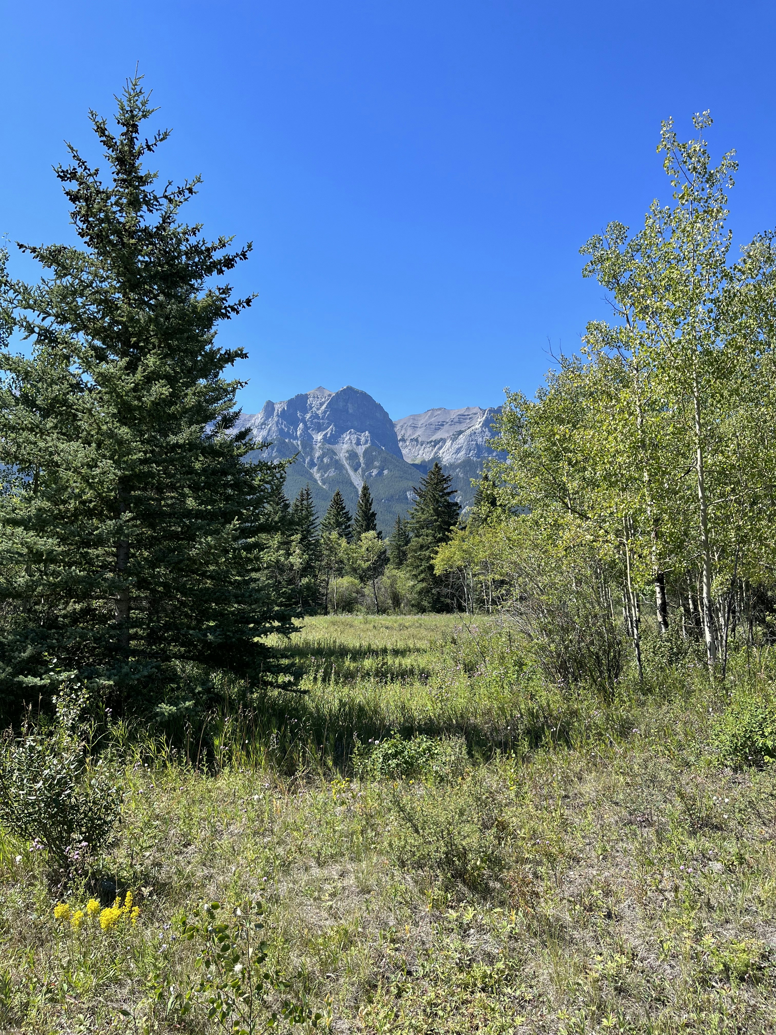 Photo by yongwookseong