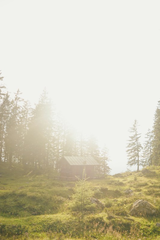 A solitary cabin nestled in a serene forest clearing, surrounded by tall pine trees. Sunlight streams in, creating a warm and peaceful atmosphere with a slightly hazy appearance. The landscape is lush and green, with patches of sunlight highlighting the grass and rocks scattered across the terrain.