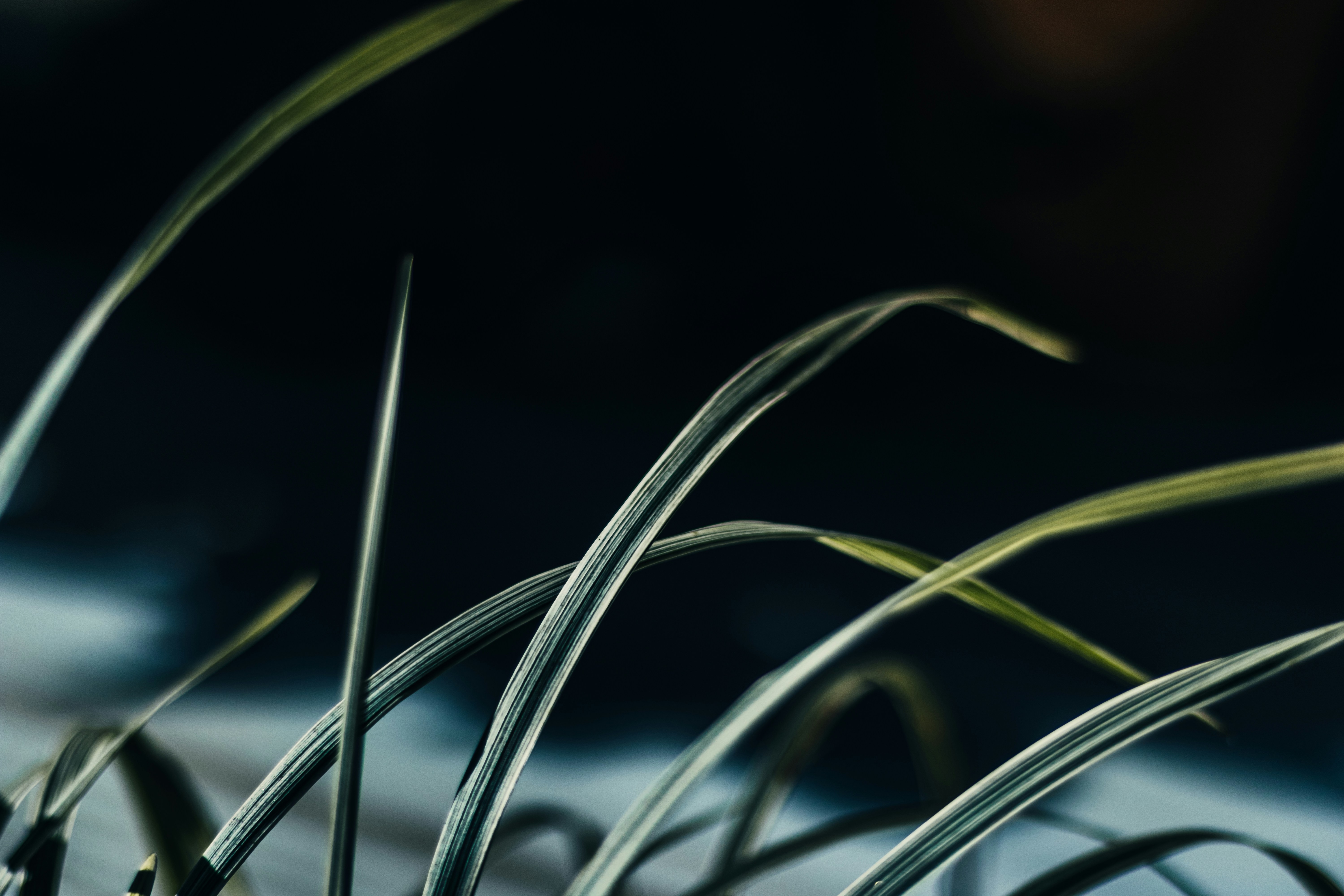 Photo by francos_chapter