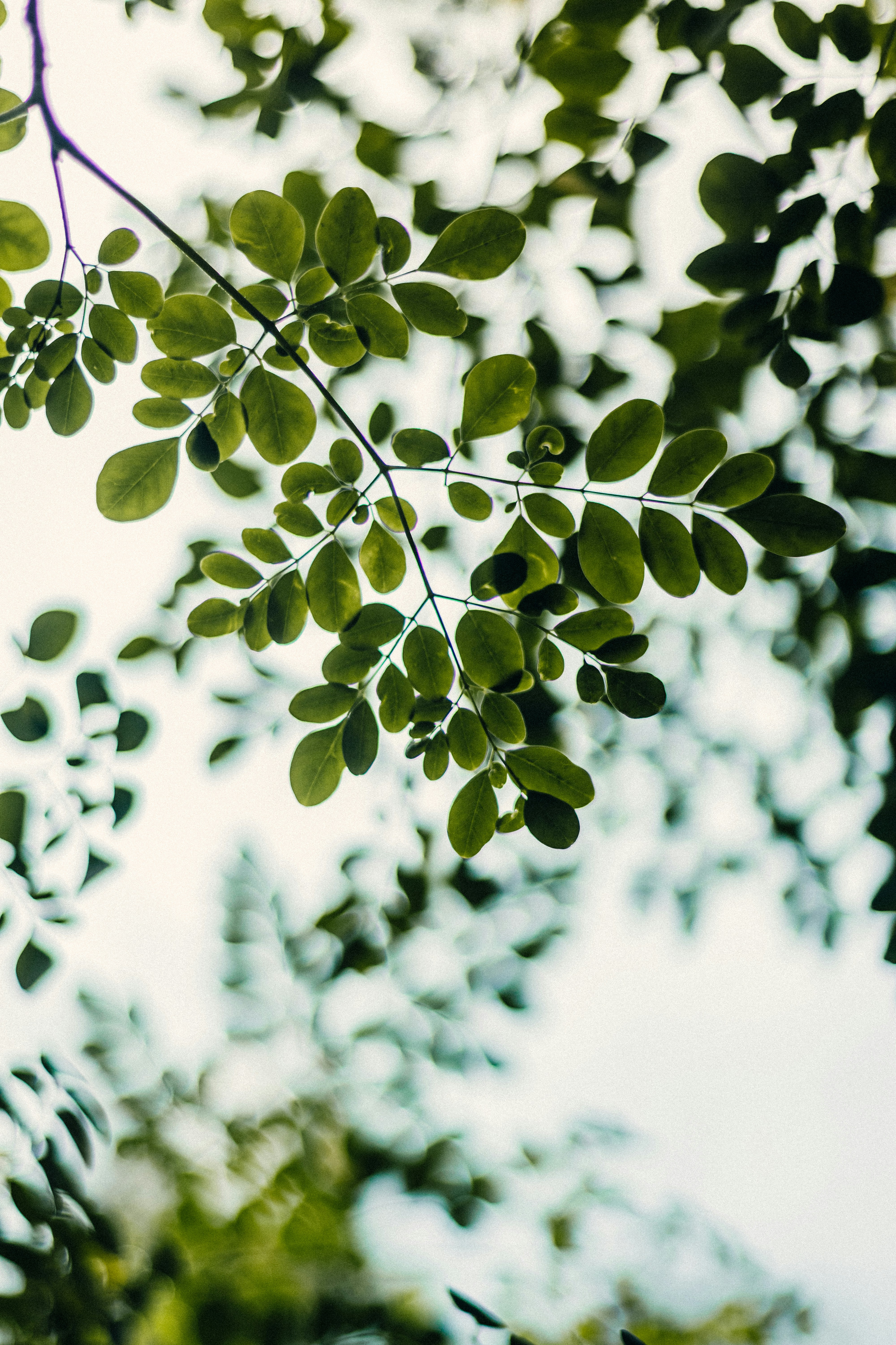 Photo by francos_chapter