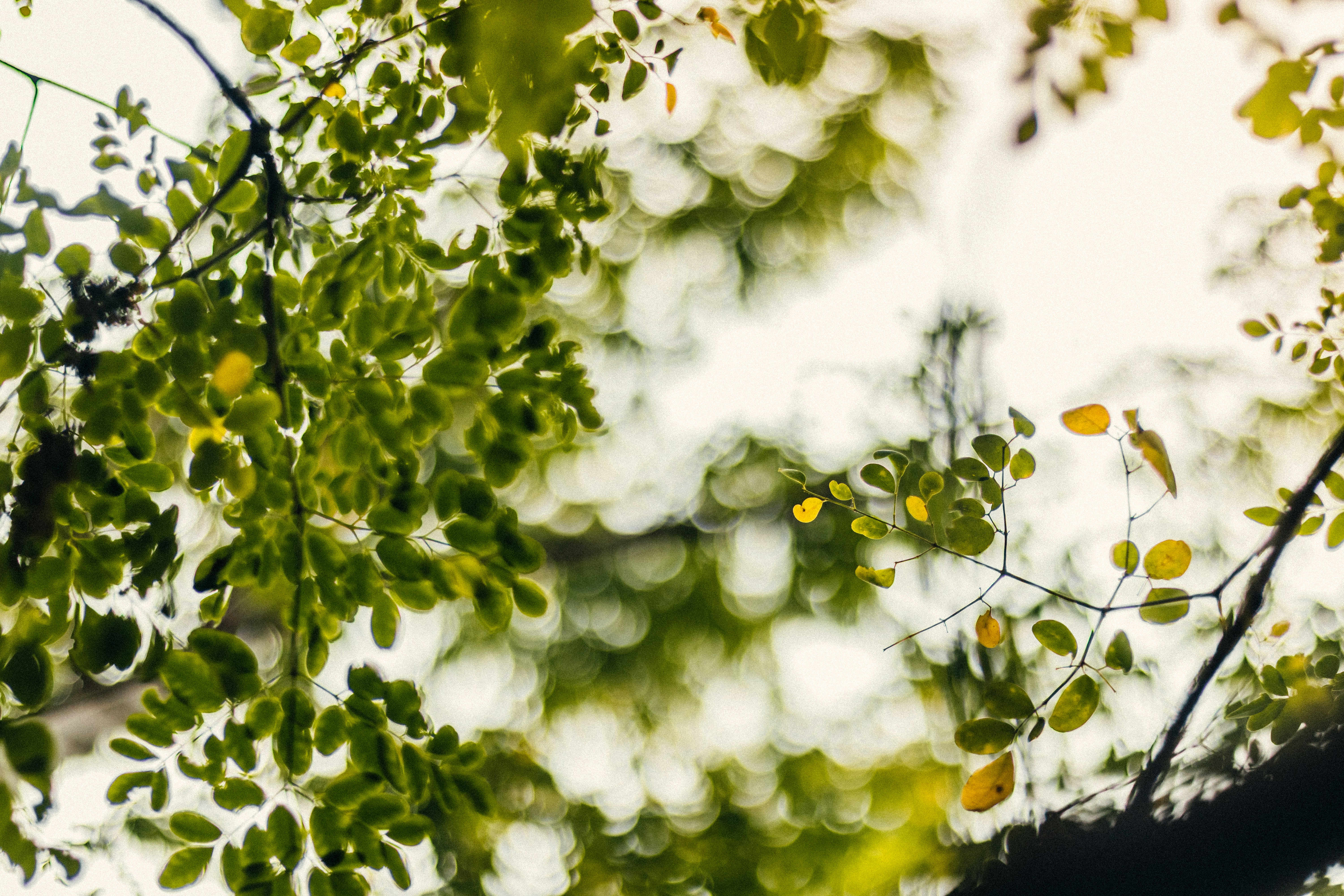 Photo by francos_chapter