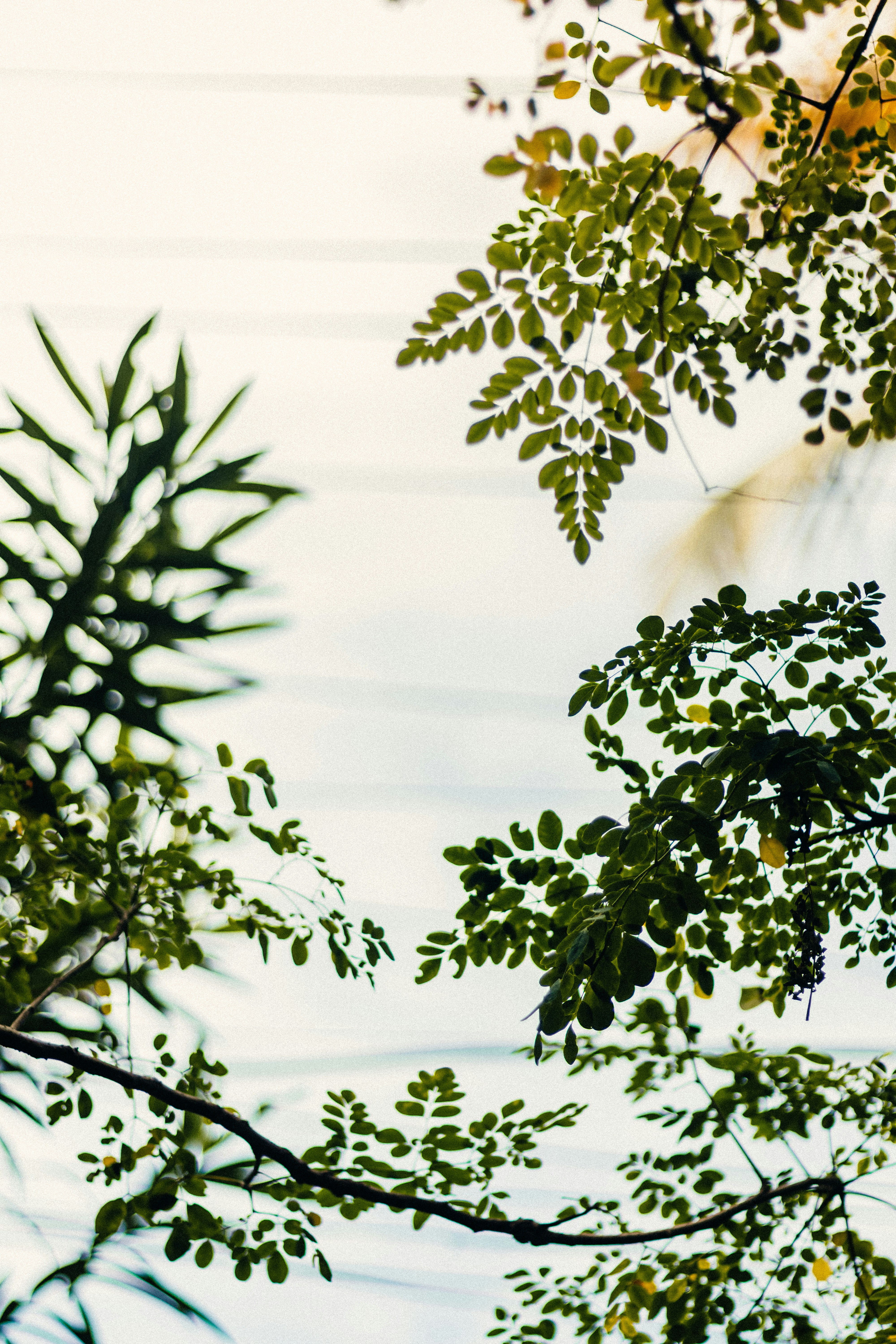 Photo by francos_chapter