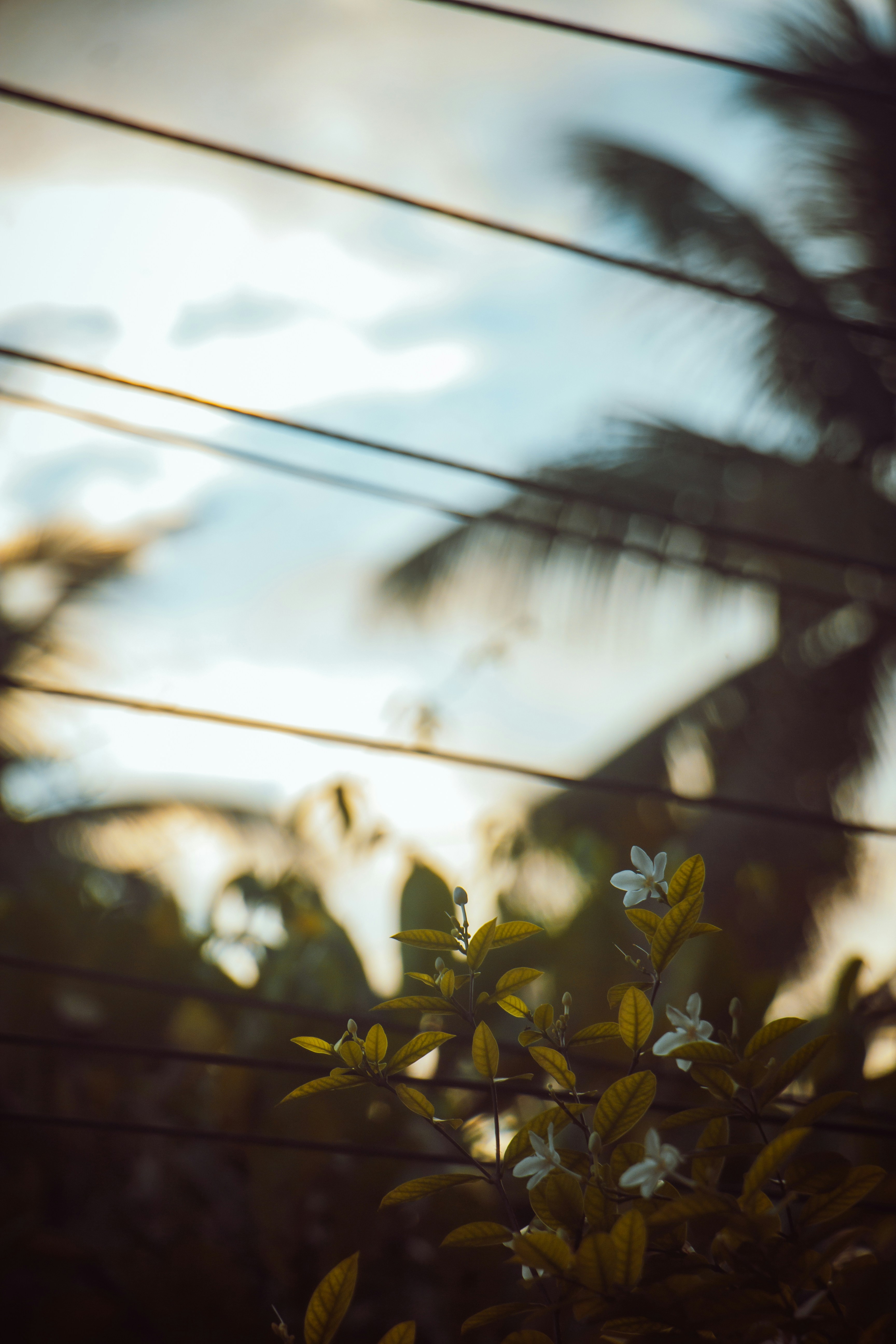 Photo by francos_chapter