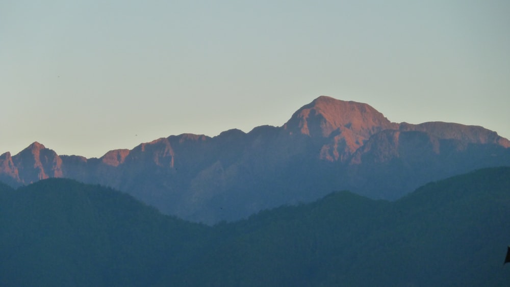 a mountain range with a bird flying in the foreground