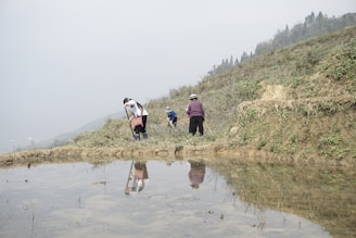 In a terraced field, three people are engaged in agricultural work. The fields are partially submerged in water, reflecting the people and the surrounding greenery. The terrain is hilly, with lush vegetation covering the landscape.