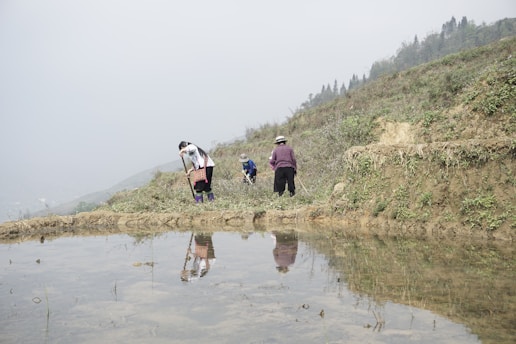 In a terraced field, three people are engaged in agricultural work. The fields are partially submerged in water, reflecting the people and the surrounding greenery. The terrain is hilly, with lush vegetation covering the landscape.